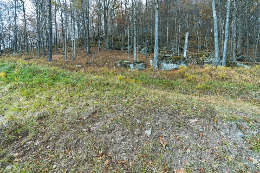 15 Deans Road Grahamsville, NY 12458