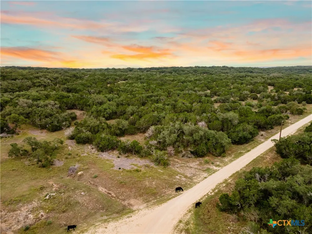 35 Pr 2533 Mico, TX 78056