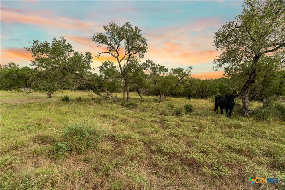 35 Pr 2533 Mico, TX 78056