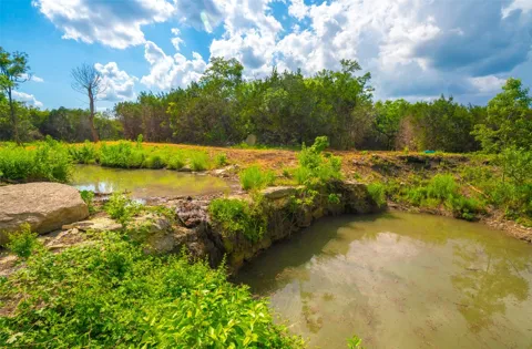 Spring Creek Ranch