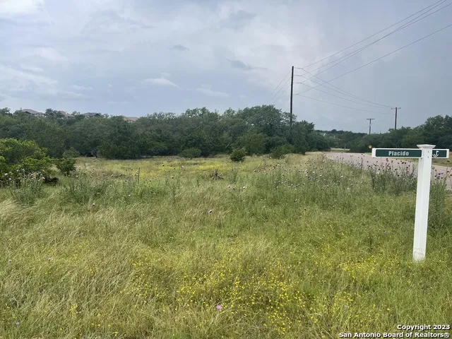 0 Corner S. Calvin Barrett & Placido Blanco, TX 78606