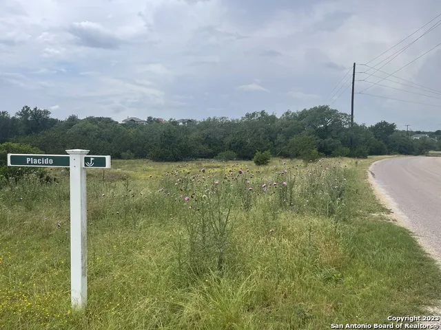 0 Corner S. Calvin Barrett & Placido Blanco, TX 78606