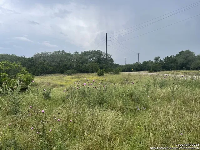 0 Corner S. Calvin Barrett & Placido Blanco, TX 78606