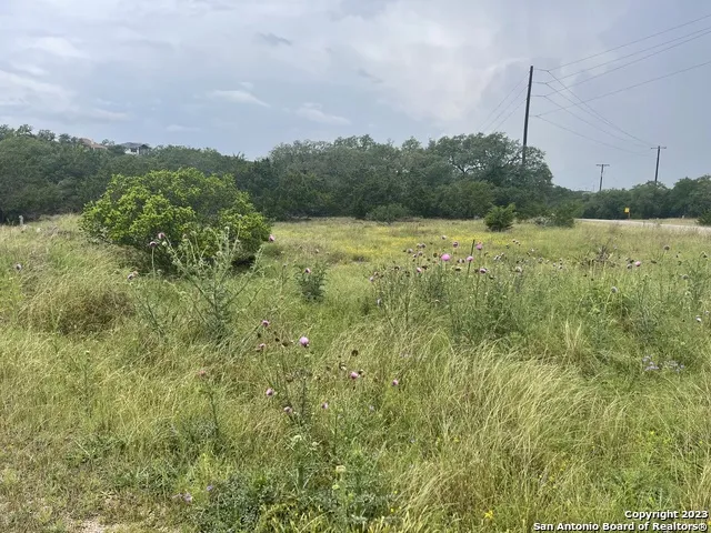 0 Corner S. Calvin Barrett & Placido Blanco, TX 78606