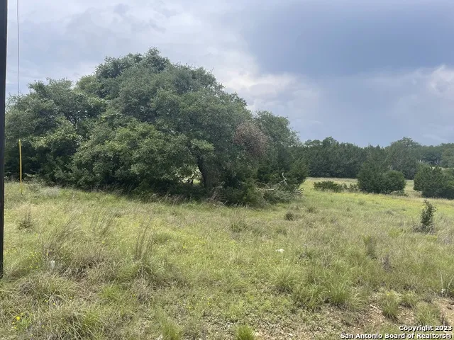114 George Dolson Blanco, TX 78606