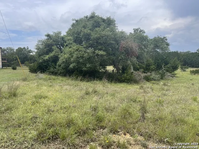 114 George Dolson Blanco, TX 78606