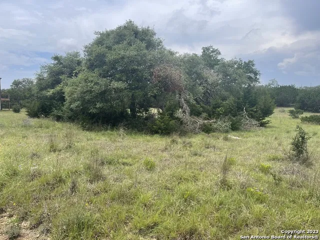 114 George Dolson Blanco, TX 78606