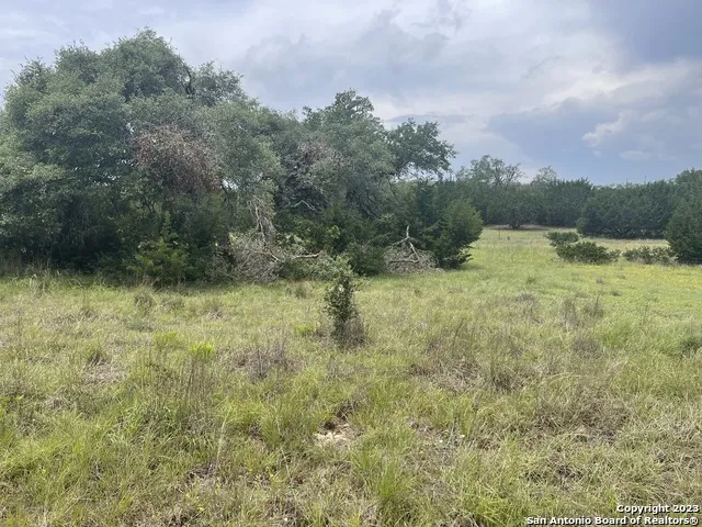 114 George Dolson Blanco, TX 78606
