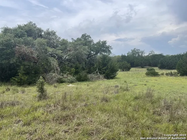 114 George Dolson Blanco, TX 78606