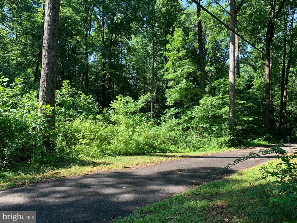 17348 TROYER Monkton, MD 21111