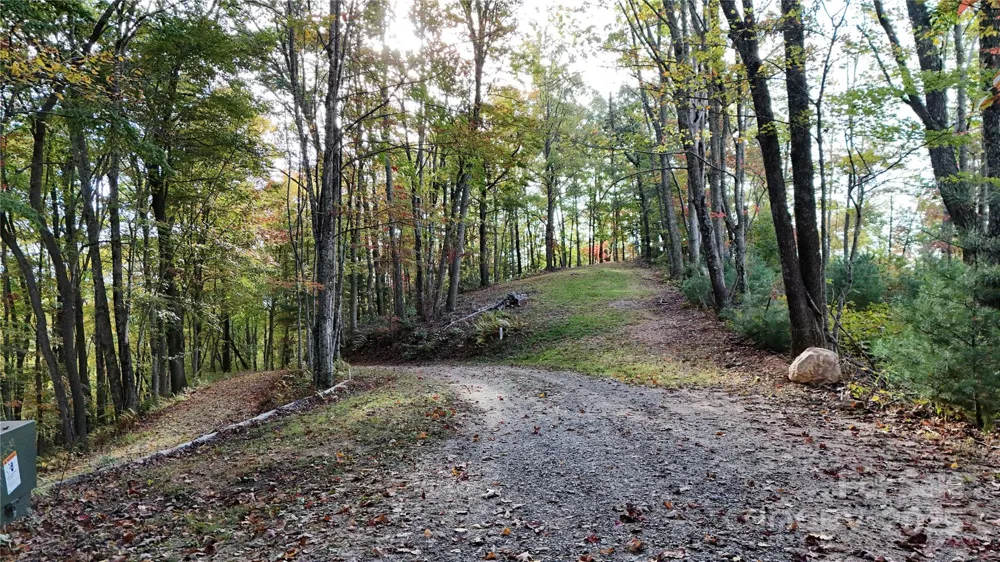2 Roberts Mountain Road #2 Clyde, NC 28721