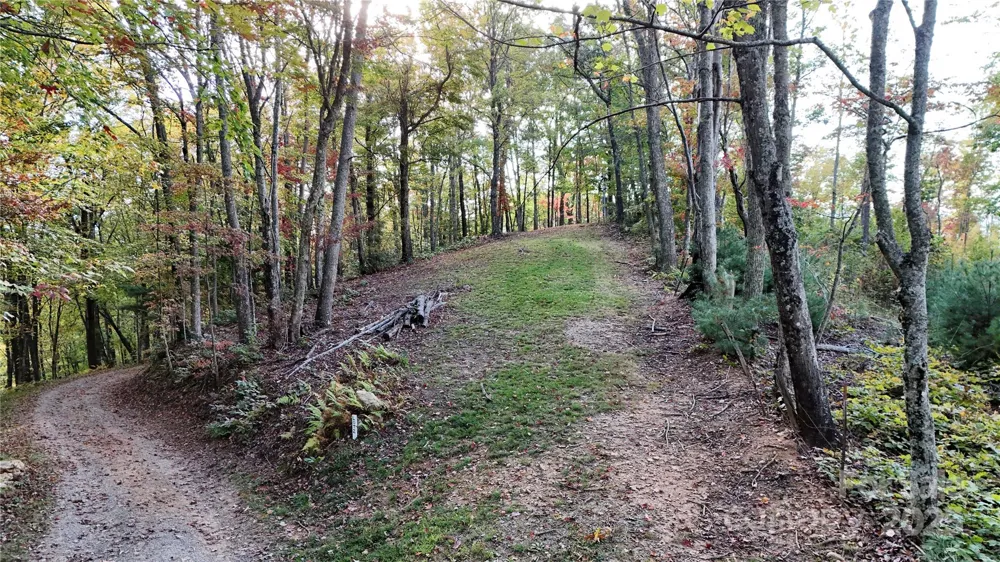 2 Roberts Mountain Road #2 Clyde, NC 28721