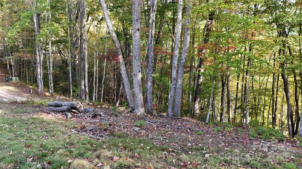 2 Roberts Mountain Road #2 Clyde, NC 28721