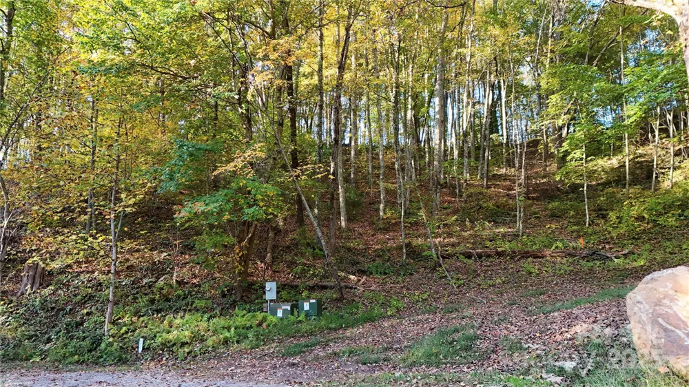 2 Roberts Mountain Road #2 Clyde, NC 28721