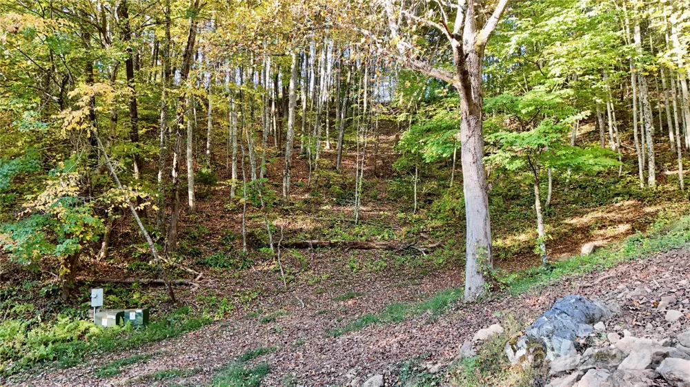 2 Roberts Mountain Road #2 Clyde, NC 28721