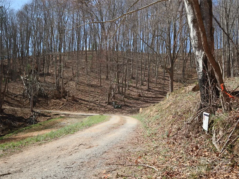 2 Roberts Mountain Road #2 Clyde, NC 28721