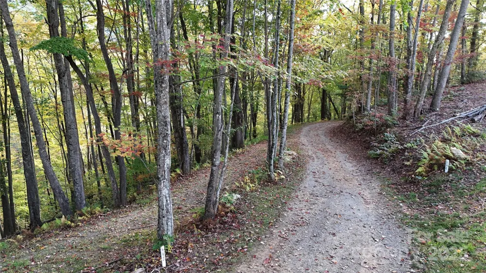 2 Roberts Mountain Road #2 Clyde, NC 28721