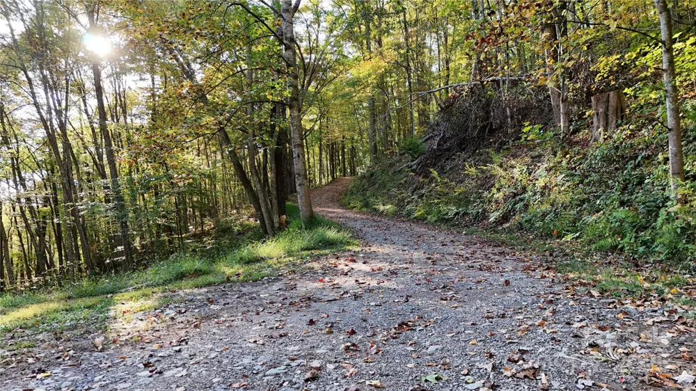 2 Roberts Mountain Road #2 Clyde, NC 28721