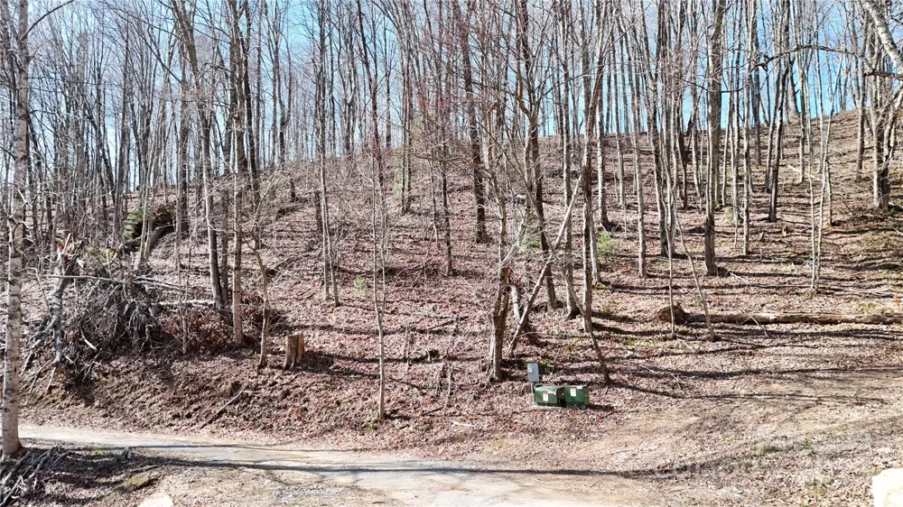 2 Roberts Mountain Road #2 Clyde, NC 28721