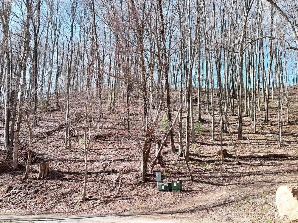 2 Roberts Mountain Road #2 Clyde, NC 28721