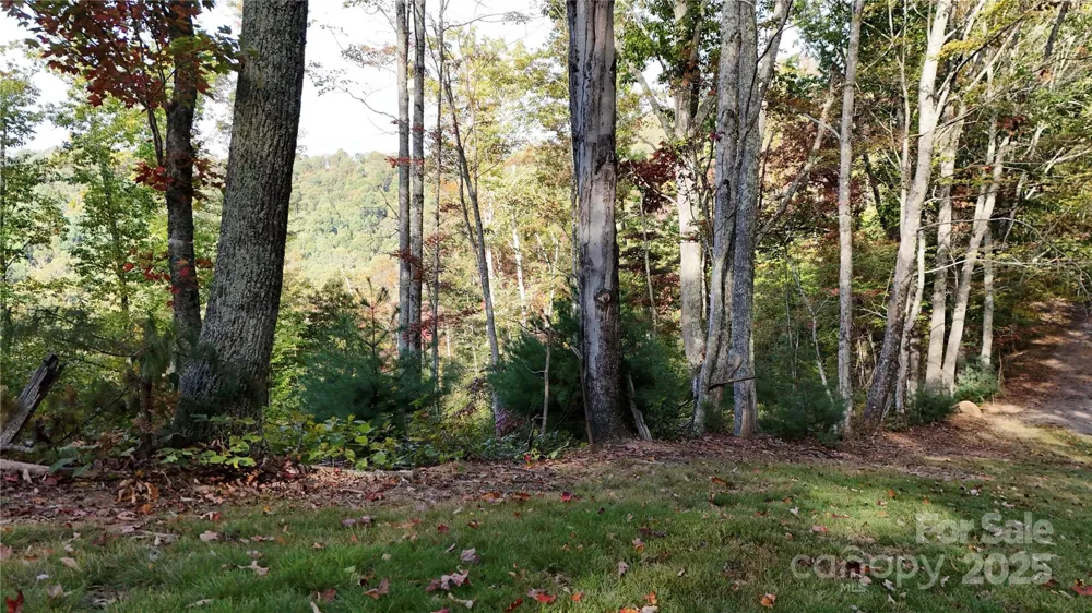 2 Roberts Mountain Road #2 Clyde, NC 28721