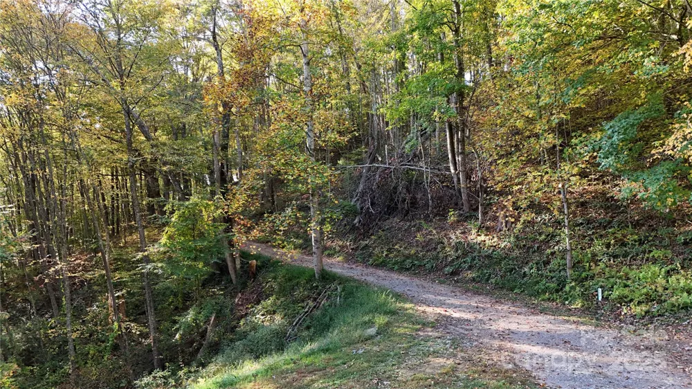 2 Roberts Mountain Road #2 Clyde, NC 28721