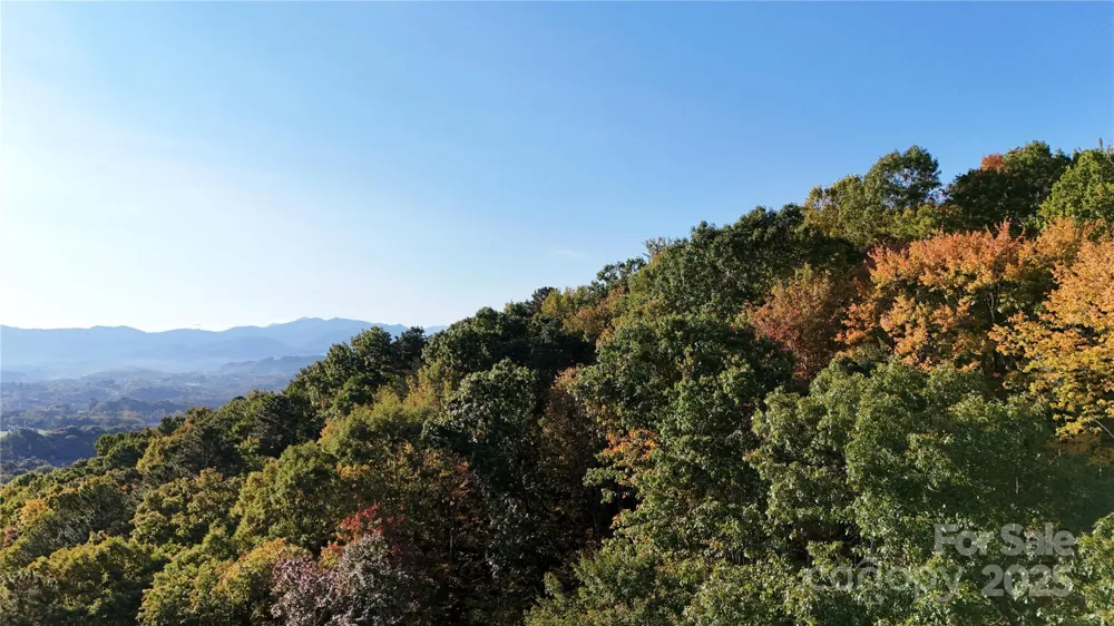 2 Roberts Mountain Road #2 Clyde, NC 28721