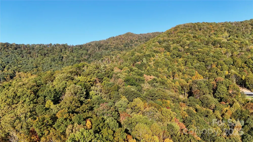 2 Roberts Mountain Road #2 Clyde, NC 28721