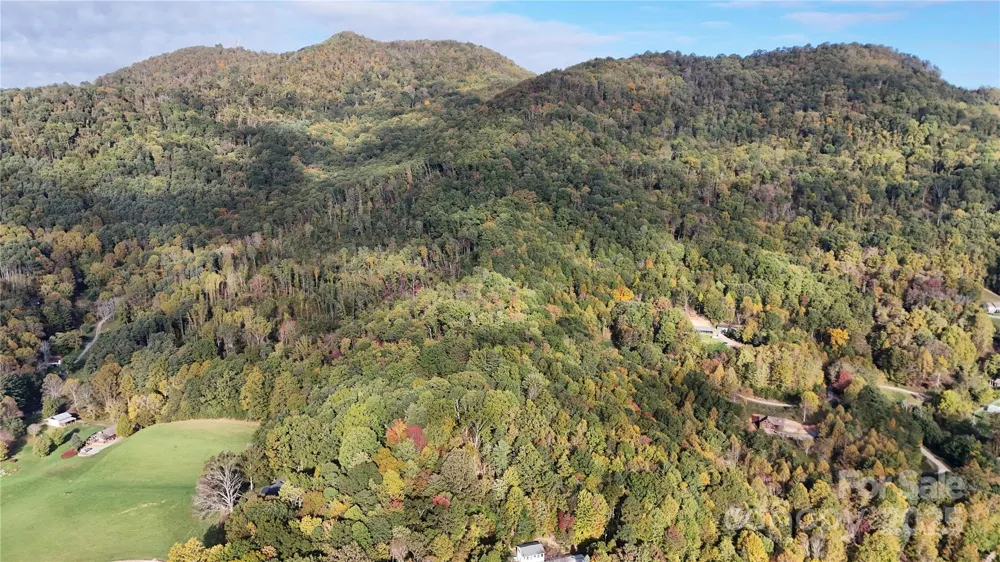 2 Roberts Mountain Road #2 Clyde, NC 28721
