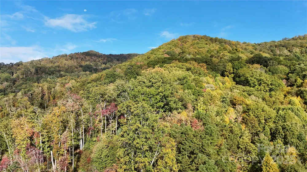 2 Roberts Mountain Road #2 Clyde, NC 28721