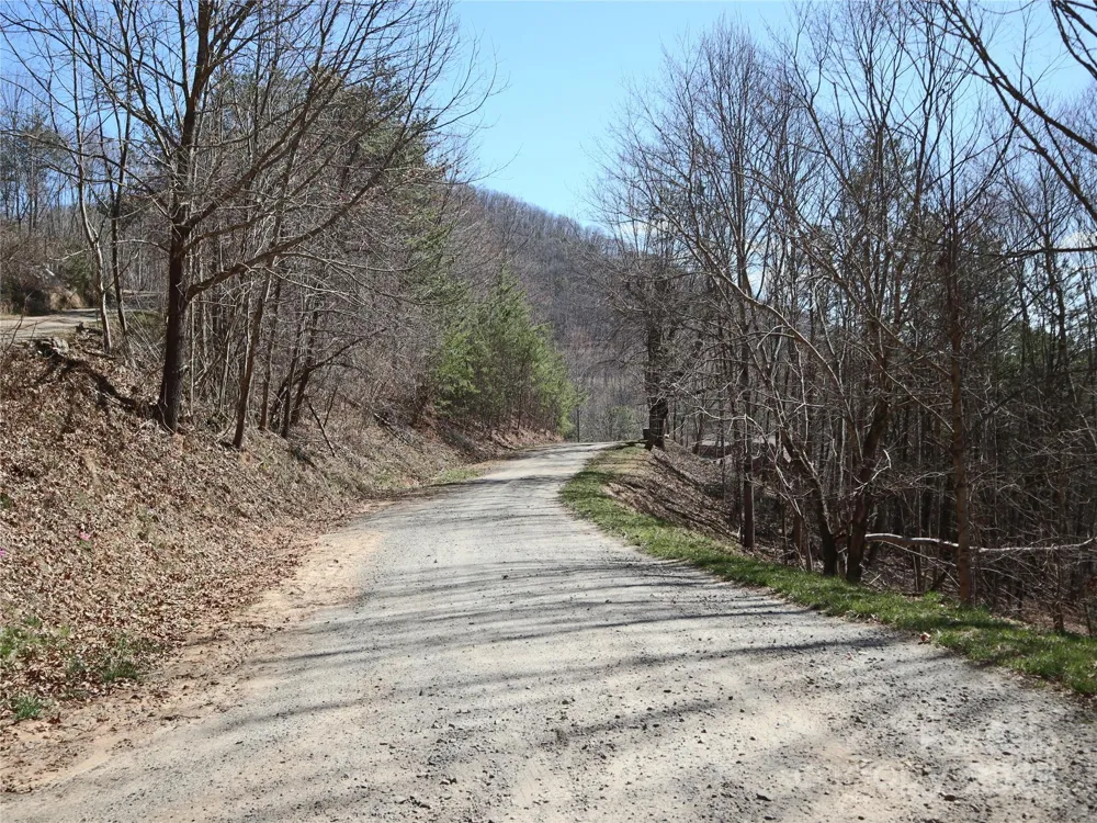 2 Roberts Mountain Road #2 Clyde, NC 28721