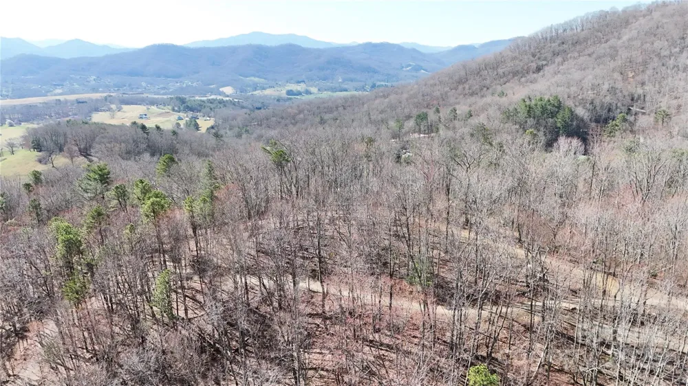2 Roberts Mountain Road #2 Clyde, NC 28721