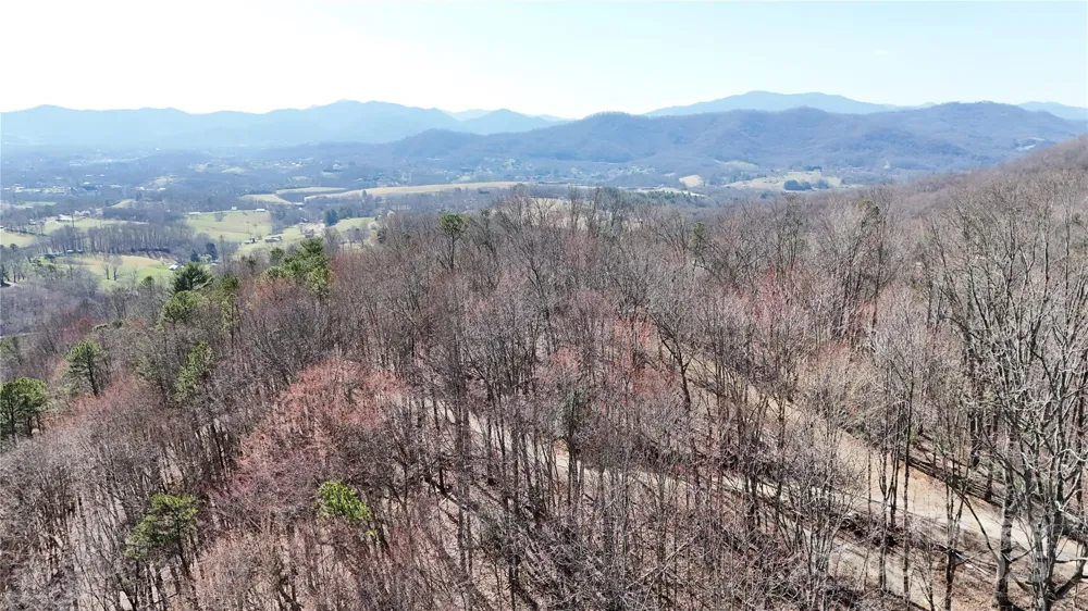 2 Roberts Mountain Road #2 Clyde, NC 28721