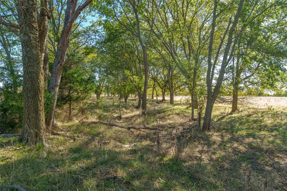 1633 Alexander Road Moody, TX 76557