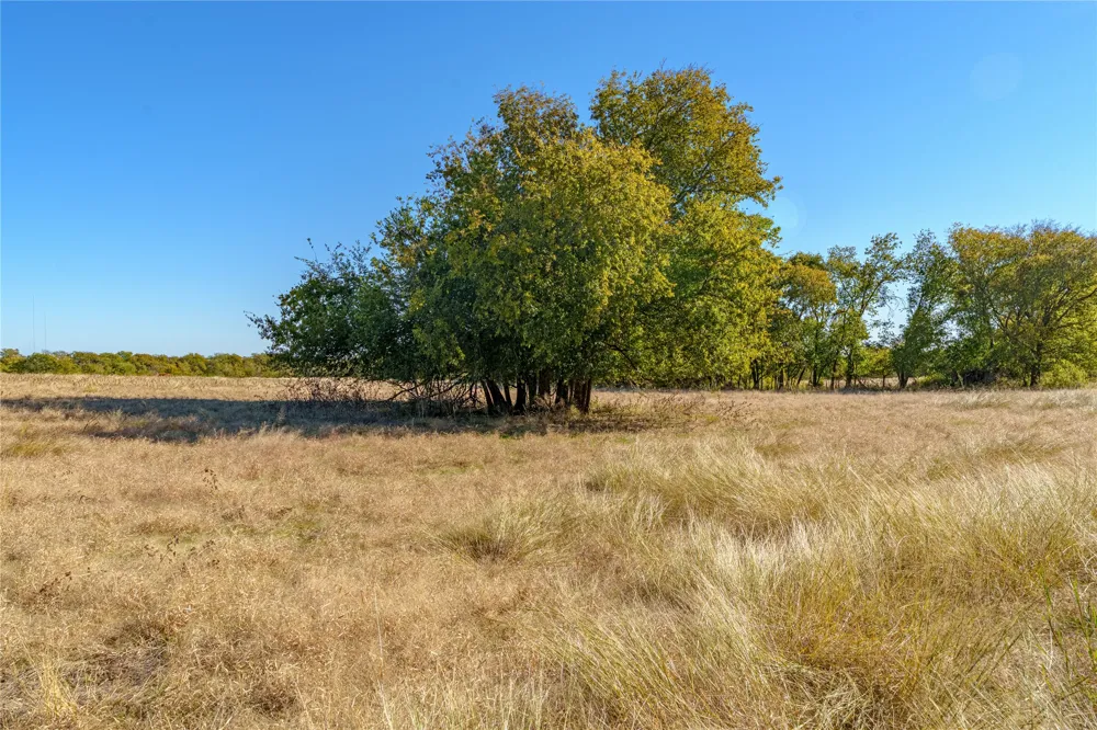 1633 Alexander Road Moody, TX 76557