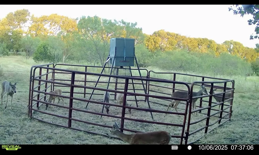 1633 Alexander Road Moody, TX 76557