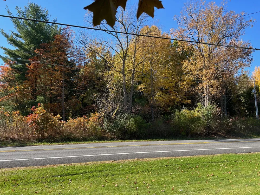 clinton Road Jackson, MI 49201