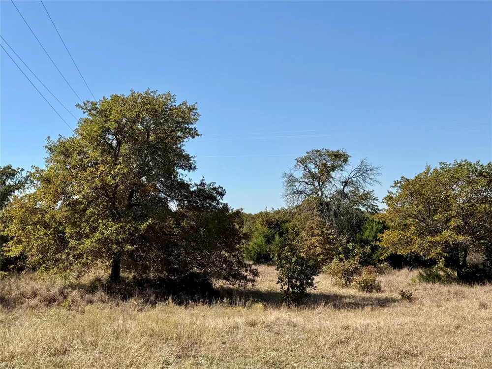 2753 Big Tree Road Montague, TX 76251