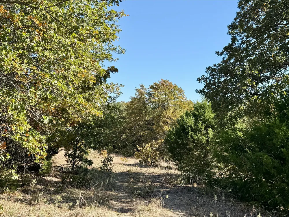 2753 Big Tree Road Montague, TX 76251