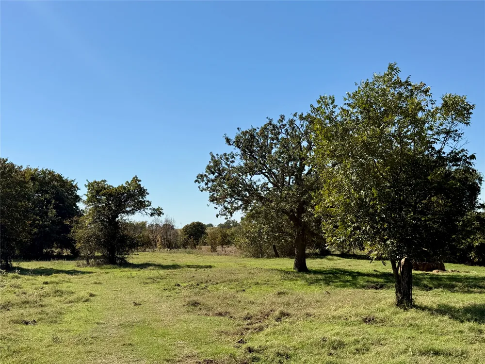 2753 Big Tree Road Montague, TX 76251