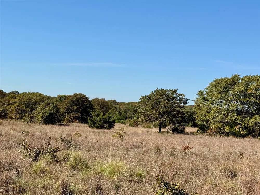 2753 Big Tree Road Montague, TX 76251