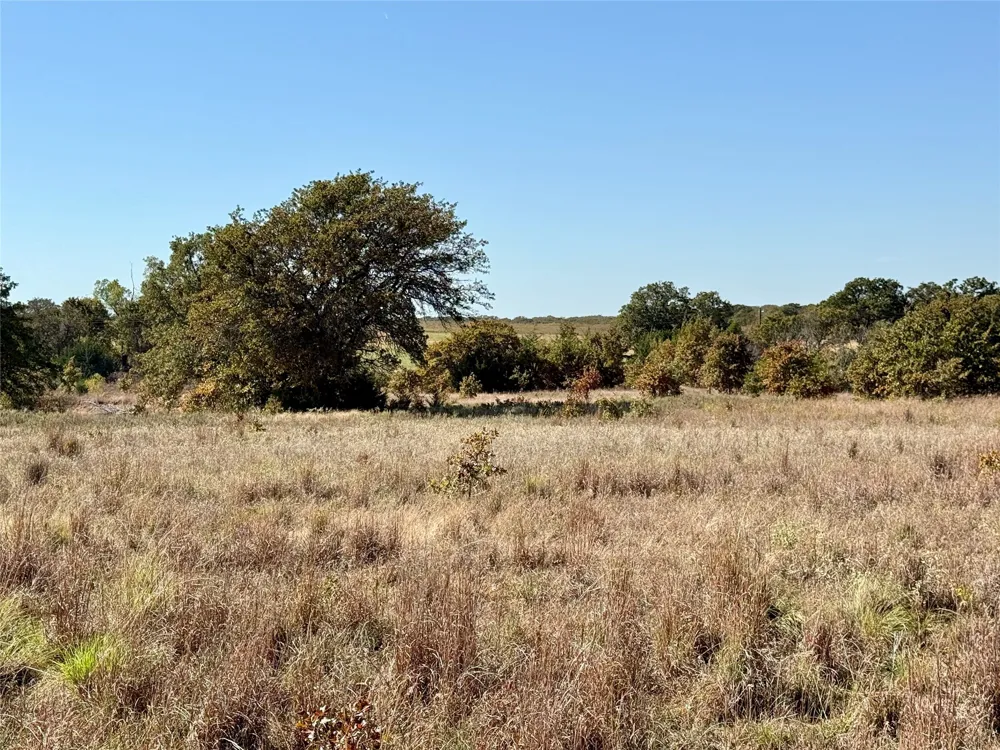 2753 Big Tree Road Montague, TX 76251
