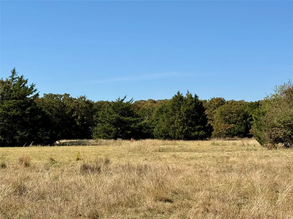 2753 Big Tree Road Montague, TX 76251