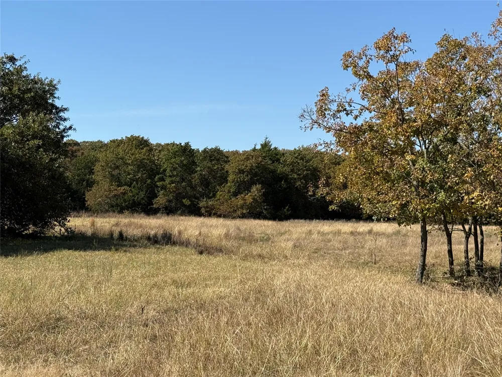 2753 Big Tree Road Montague, TX 76251