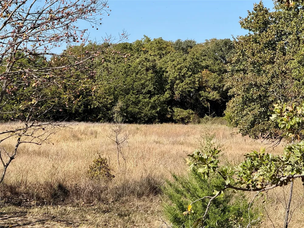 2753 Big Tree Road Montague, TX 76251