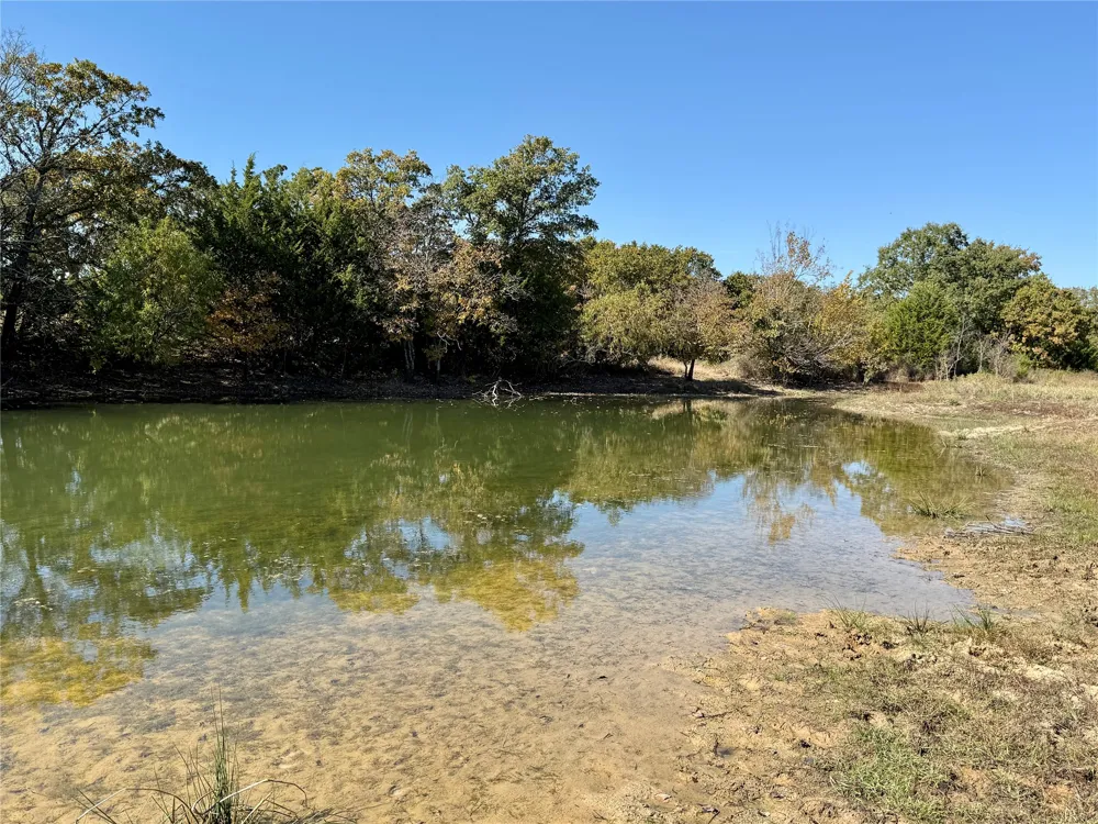 2753 Big Tree Road Montague, TX 76251