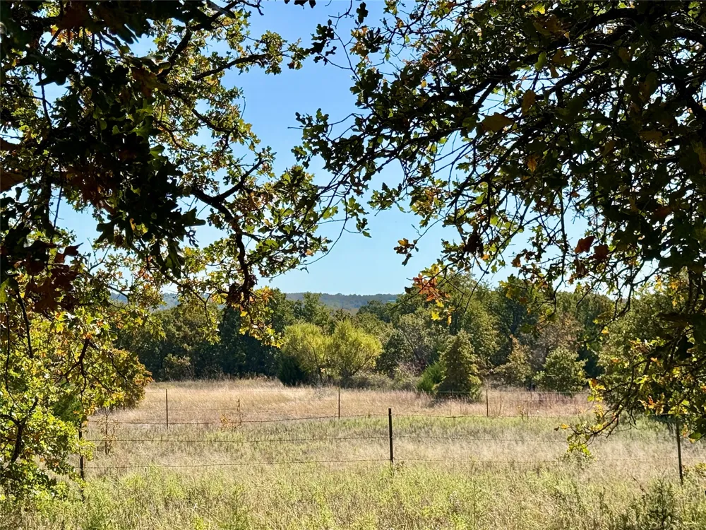 2753 Big Tree Road Montague, TX 76251