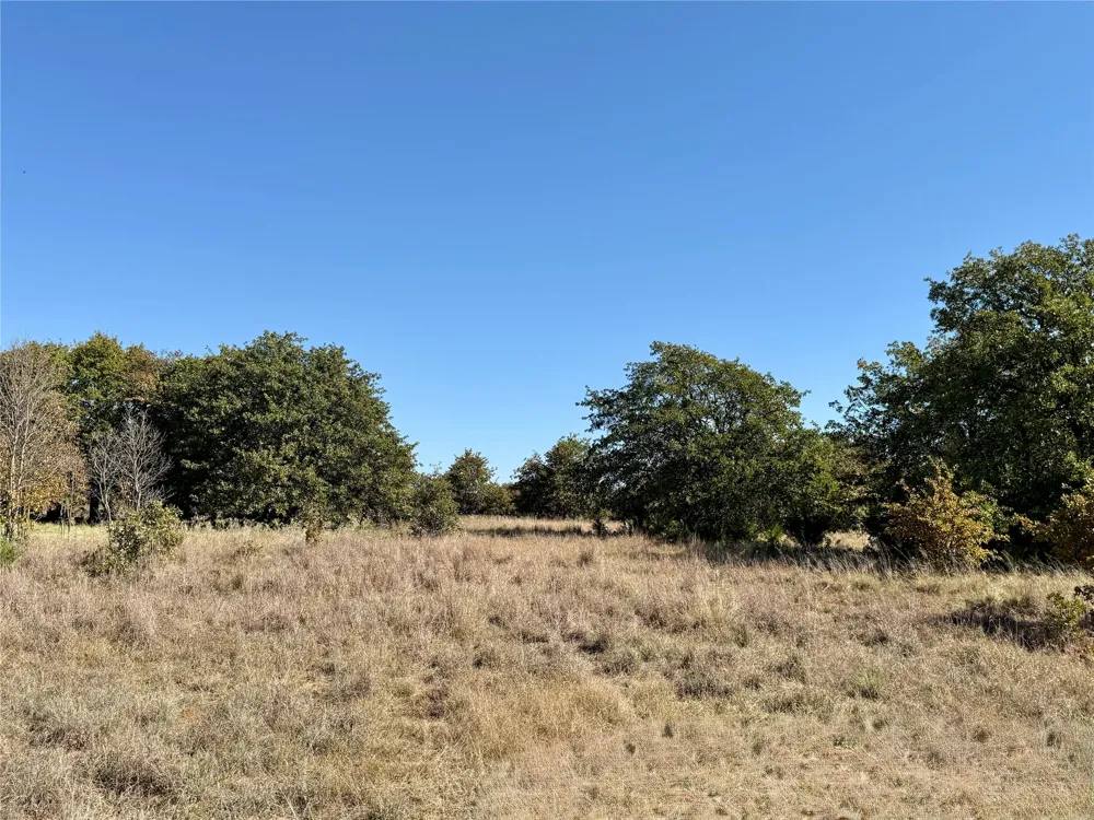 2753 Big Tree Road Montague, TX 76251