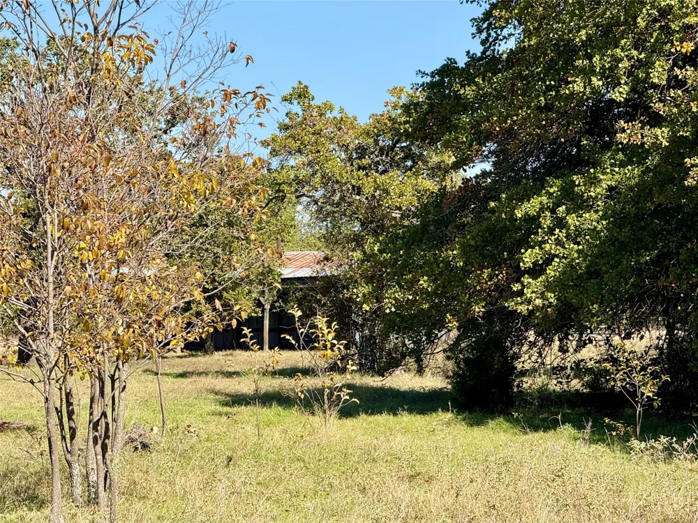 2753 Big Tree Road Montague, TX 76251