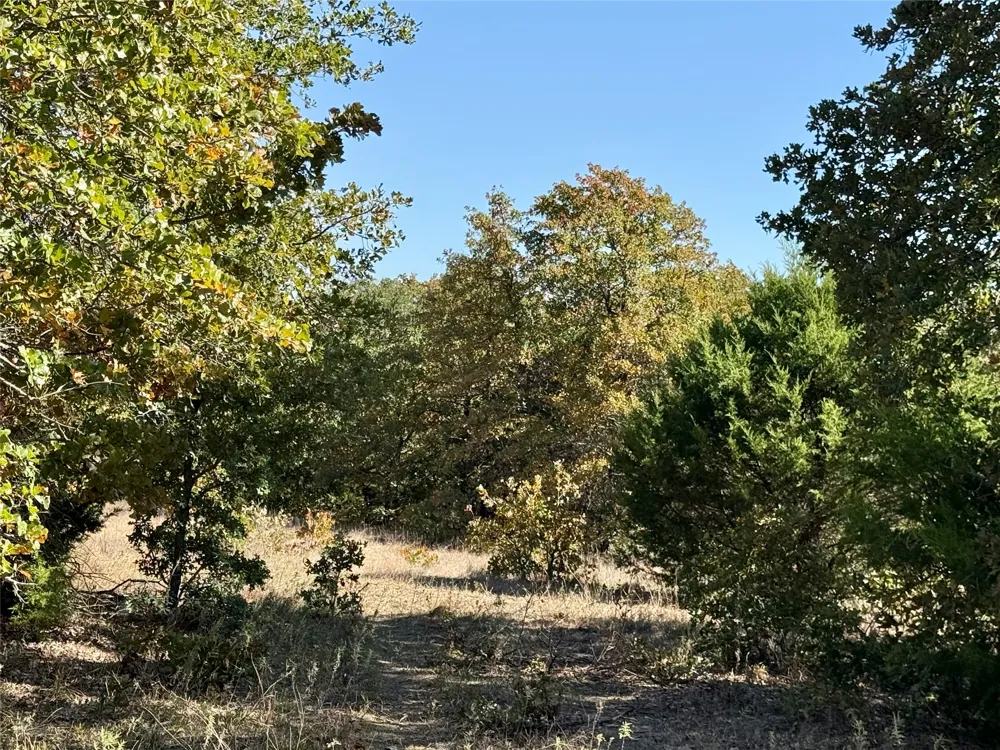 2753 Big Tree Road Montague, TX 76251